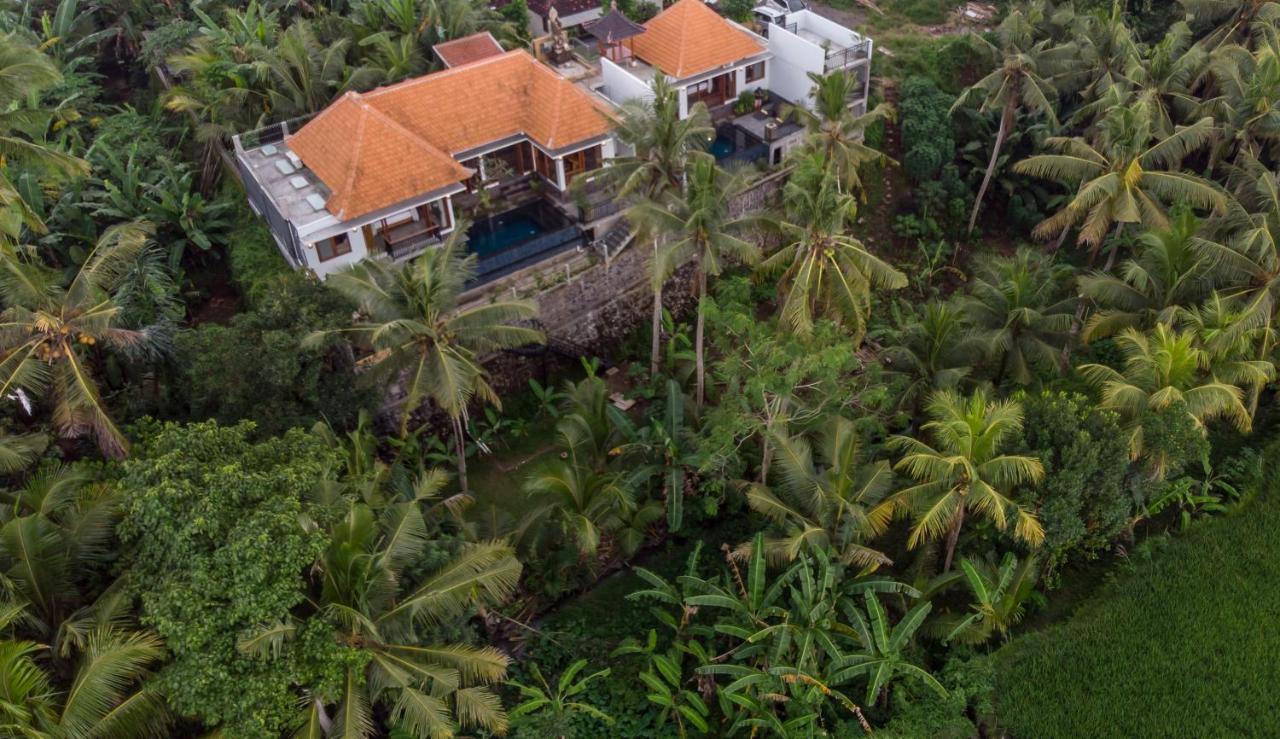 The Shea Ubud Tranquility Villa With Private Pool Luaran gambar