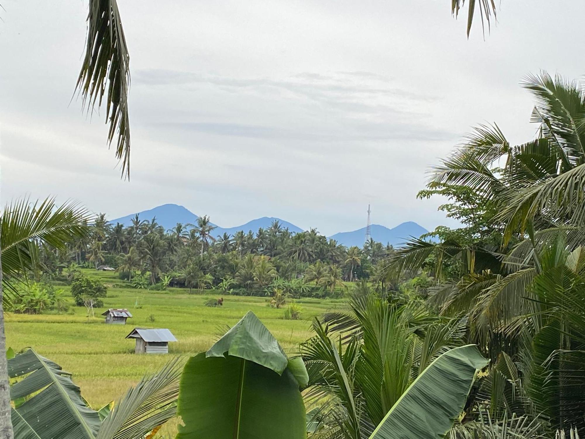 The Shea Ubud Tranquility Villa With Private Pool Luaran gambar